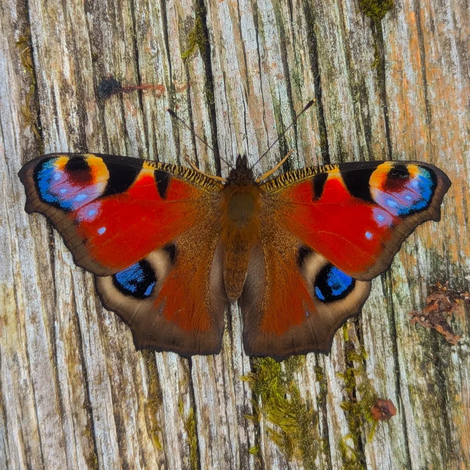 I Don't Mind (Change)